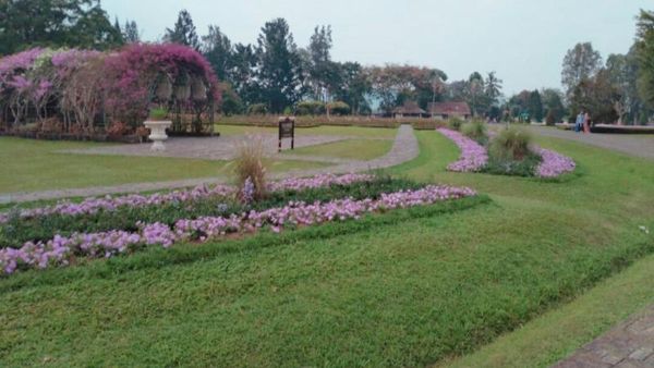 Cantik Nih, Taman Bunga Nusantara di Cianjur