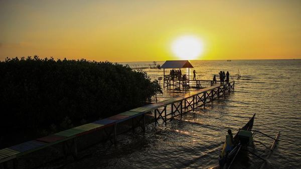 Cantik Sekali Lantebung, Hutan Bakau di Makassar