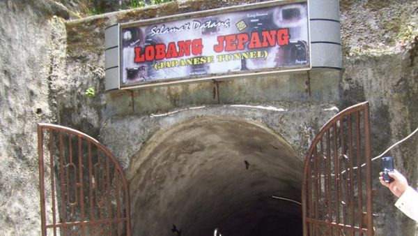 Cantiknya Bukittinggi Dari Ngarai Sianok Hingga Jam Gadang