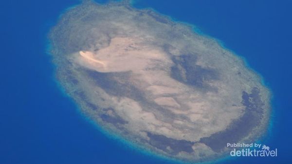 Cantiknya Gugusan Karang di Perairan Sulawesi