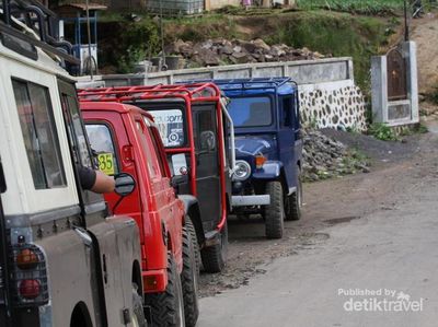 Cantiknya Oro-oro Ombo di Semeru