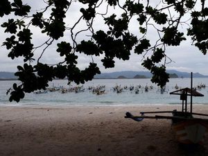 Cantiknya Pantai Papuma di Jember