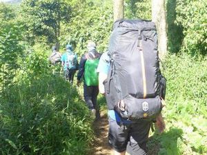 Cantiknya Pemandangan di Gunung Gede