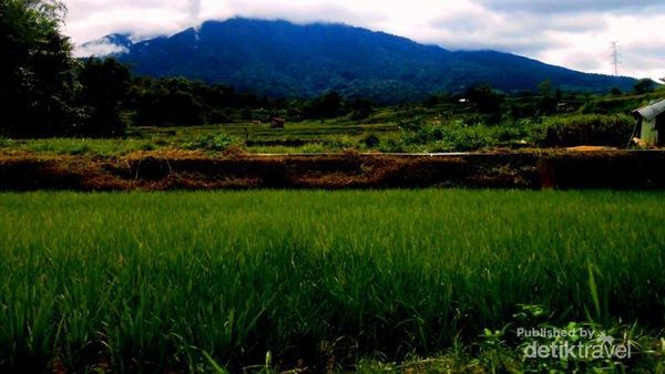 Cantiknya Perkampungan di Bukittinggi