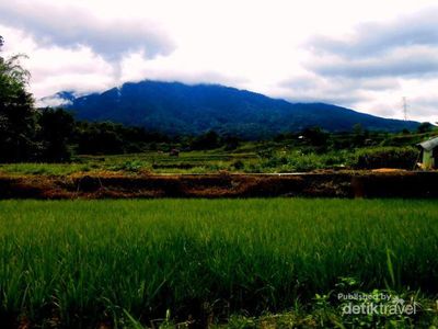Cantiknya Perkampungan di Bukittinggi