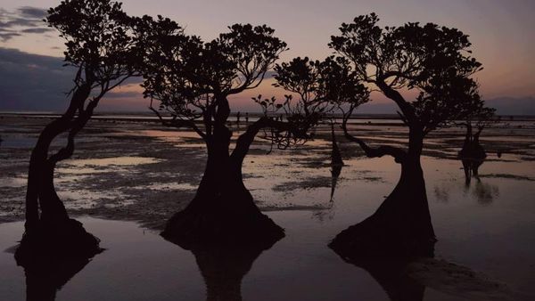 Cantiknya Suasana Sunset di Pantai Walakiri, Sumba Timur