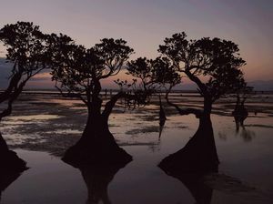 Cantiknya Suasana Sunset di Pantai Walakiri, Sumba Timur