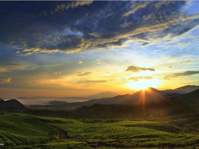 Cantiknya Sunrise di Subang, Bagai Negeri di Atas Awan