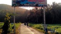 Cantiknya Sunset di Tanjung Papuma Jember