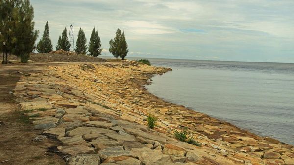 Cemara dan Pantai
