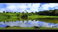 Ciwidey, Negeri di Balik Kabut