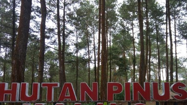 Coba Lihat yang Adem-adem Dulu di Purworejo Ini