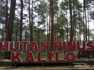 Coba Lihat yang Adem-adem Dulu di Purworejo Ini