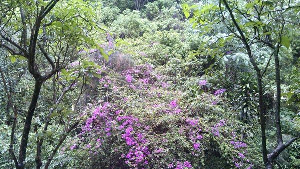 Coban Rondo, Salah Satu Ikon Kota Batu di Jatim