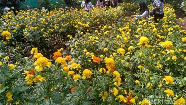Coban Talun, Tempat Wisata Komplit di Malang
