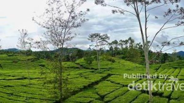 Curug Citambur, Air Terjun Elok di Cianjur