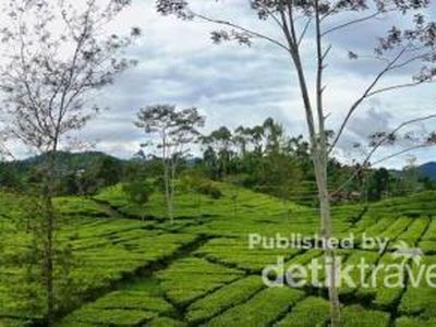 Curug Citambur, Air Terjun Elok di Cianjur