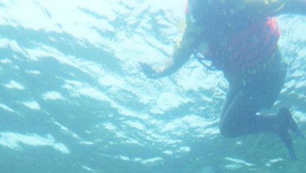 Dahsyatnya Pemandangan Alam Bawah Laut di Lampung