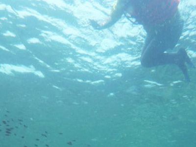 Dahsyatnya Pemandangan Alam Bawah Laut di Lampung