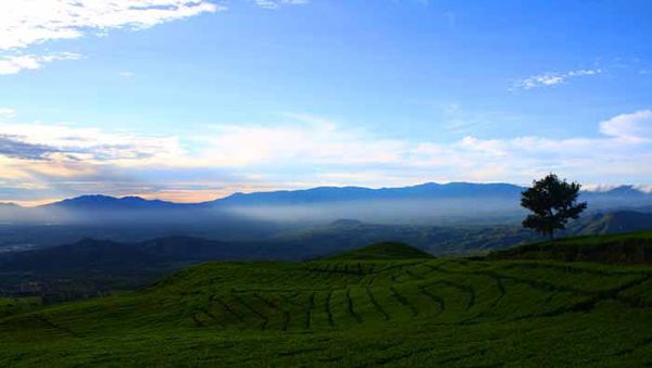 Damai Di Pinggir Pantai Burong Mandi