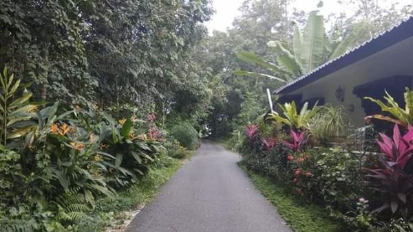 Damainya Kampung Yooi di Pulau Langkawi
