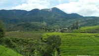 Danau di Atas & Danau di Bawah, Si Kembar Cantik Dari Solok
