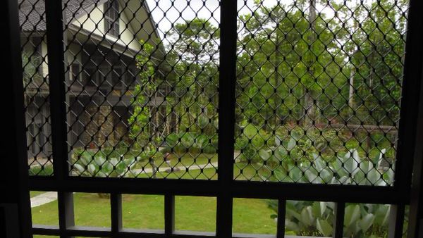 Dekat dengan Alam di Hotel Rimba Papua