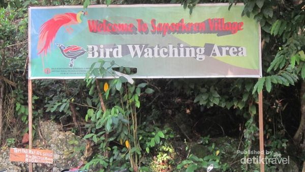 Desa Sarpokren, Surganya Burung dari Raja Ampat