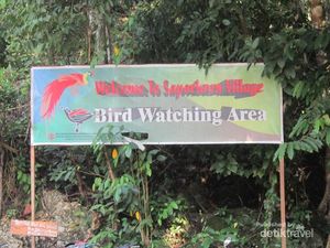 Desa Sarpokren, Surganya Burung dari Raja Ampat