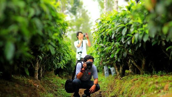 Dieng Plateau Dalam Bidikan Lensa