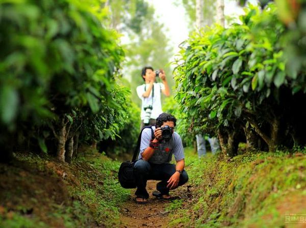 Dieng Plateau Dalam Bidikan Lensa