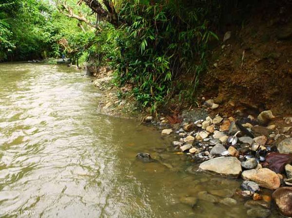 Dingin di Tengah, Panas di Pinggiran. Itulah si Tanjung Sakti!