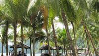 Eksotisnya Pantai Tablanusu di Papua