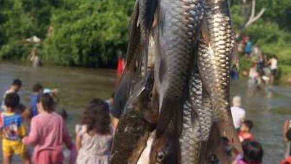 Festival Tangkap Ikan nan Unik di Sumatera Utara