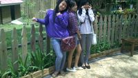 Fiuh! Lepaskan Penat di Secret Zoo, Malang