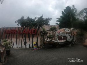 Foto: Bukan Ikan, Di Sini Kamu Bisa Mancing Harimau