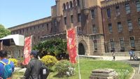 Foto-foto Asyiknya Menjelajahi Osaka