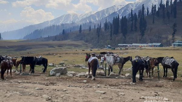 Foto-foto Kashmir yang Menakjubkan