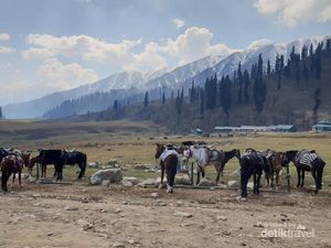 Foto-foto Kashmir yang Menakjubkan