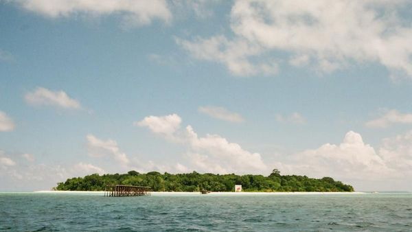 Foto-foto Konservasi Penyu di Pulau Sangalaki