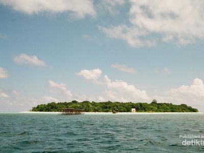 Foto-foto Konservasi Penyu di Pulau Sangalaki