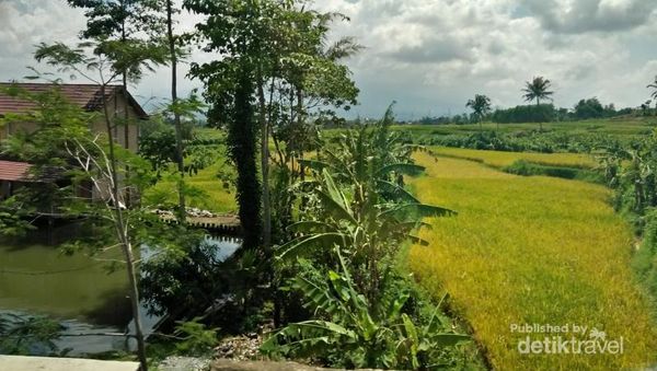 Foto: Garut Si Swiss Van Java