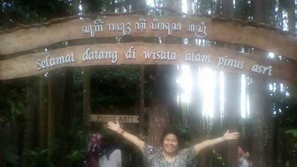 Foto: Hutan Pinus yang Asri & Sejuk di Yogyakarta