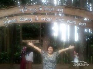 Foto: Hutan Pinus yang Asri & Sejuk di Yogyakarta