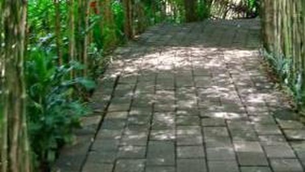 Foto: Ini Tempat Asyik Buat Ngadem di Bandung