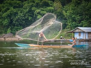 Foto: Keseharian Warga Sekitar Pulau Pinus di Kalimantan