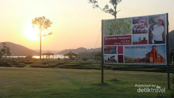 Foto: Lagi Ngehits di Pattaya, Wisata Perkebunan Anggur