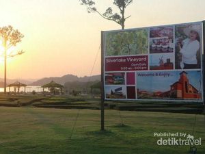 Foto: Lagi Ngehits di Pattaya, Wisata Perkebunan Anggur