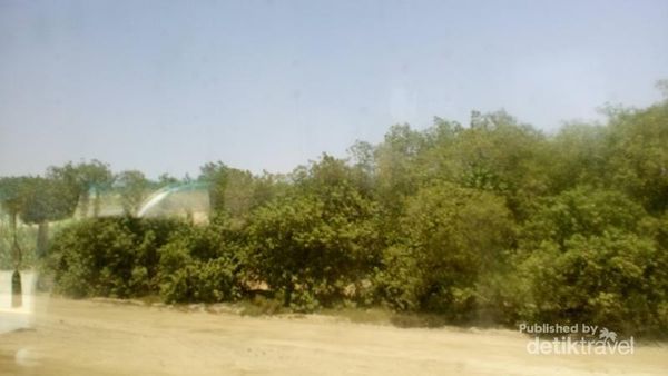 Foto: Melihat Pemandangan dari Jeddah ke Makkah