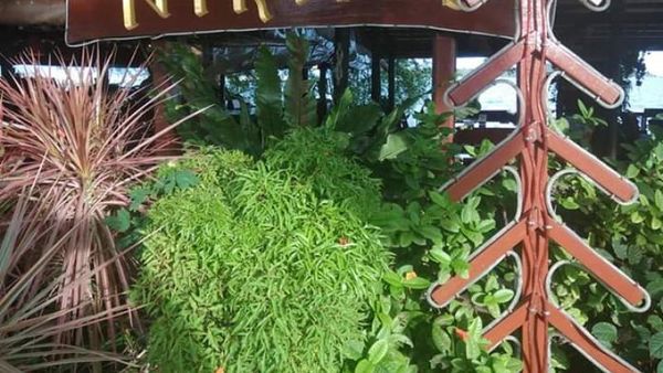Foto: Oh Begini Restoran Pantai ala Thailand
